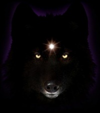 Blackwolf 7 1